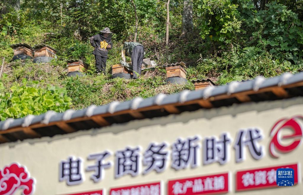 皇冠注册送金不